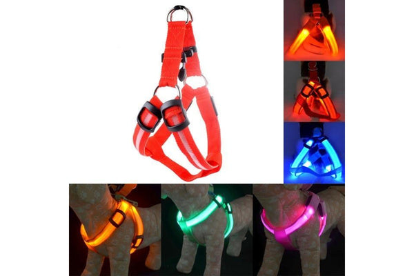 2 Sets of Usb Rechargeable Led Nylon Dog Collar Harness Flashing Light Up Safety Pet Collars P01 Red - M Chest 38-50 Cm