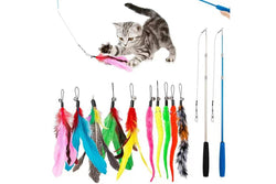 Cat Fishing Pole Toy Set Retractable Cat Wand and Feather Toys Interactive Kitten Toys