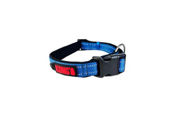 Kong Nylon Blue Collars Kclrlbl