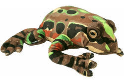 Antics: Archey's Frog - Plush