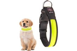 LED Dog Cat Collar USB Rechargeable Nylon Glow Flashing Light Up Safety Puppy