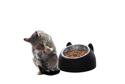 Tilted Dog Food Bowl Stainless Steel Cat Dog Feeder Black