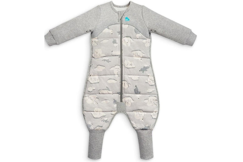 Love to Dream: Sleep Suit Extra Warm 3.5 Tog - South Pole Grey (Size 2)