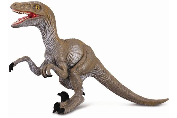 CollectA - Velociraptor