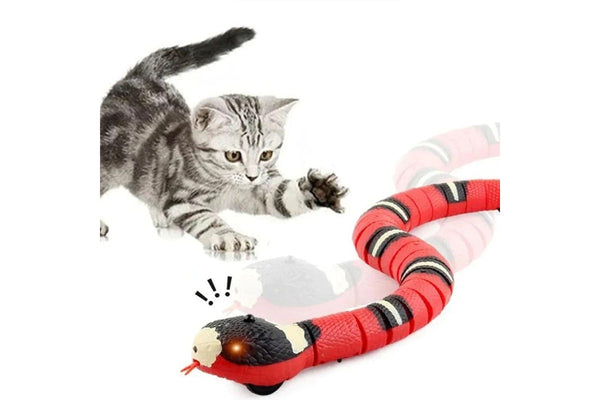 Interactive Smart Cat Toy With Usb Rechargeable Snake Teaser