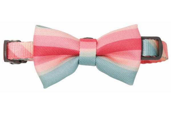 Pidan Cat Bow Tie Collar - Pink/Light Blue