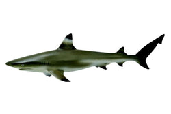 CollectA - Blacktip Reef Shark