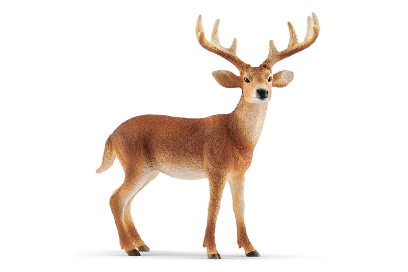 Schleich - White-tailed buck