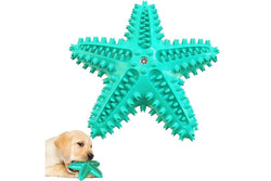 Durable Squeaky Toothbrush Dog Chew Toys For Aggressive Chewers For Small Medium Big Dogs