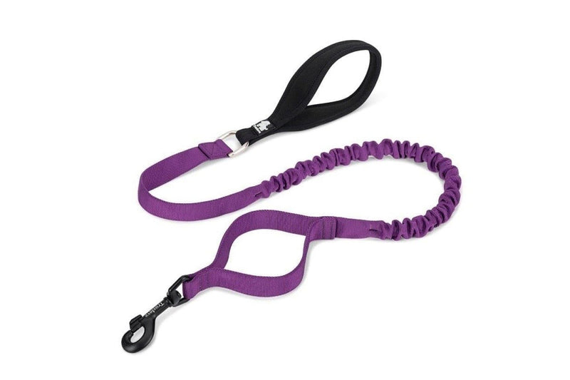 Cushioning Flexible Leash With Elastic Rope Control Large Fiercely