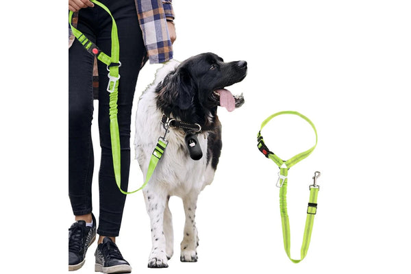 3-in-1 Removable Dog Seat Belt Harness for Car Retractable Reflective Bungee Dog Seatbelt Green