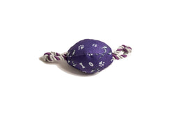 The Stubby Club Melbourne Storm NRL Themed Durable Dog Cat Pet Chew Toy