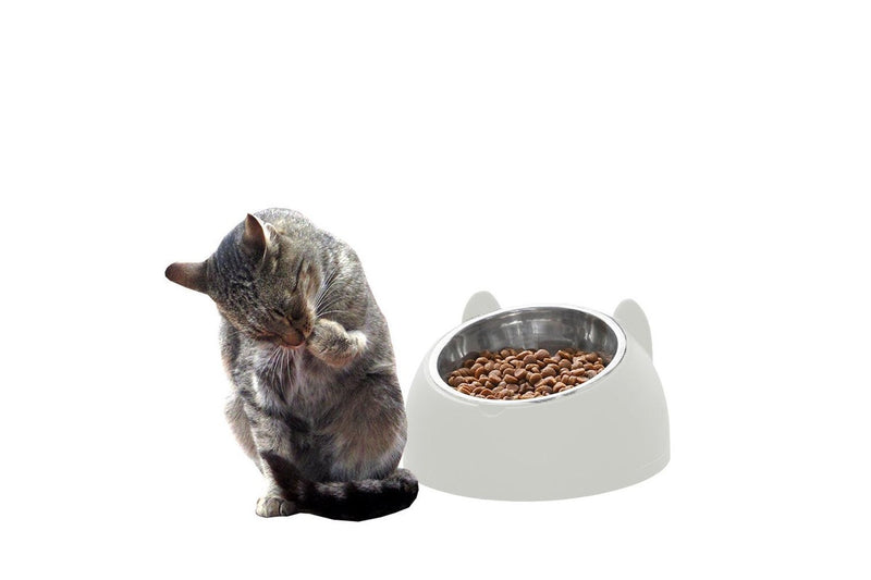 Tilted Dog Food Bowl Stainless Steel Cat Dog Feeder White