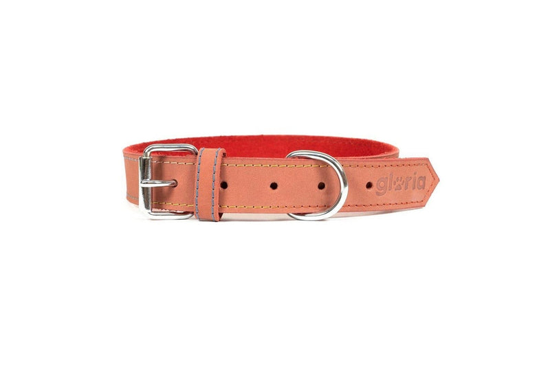 Dog Collar Gloria Oasis Red (1,5 x 40 Cm)