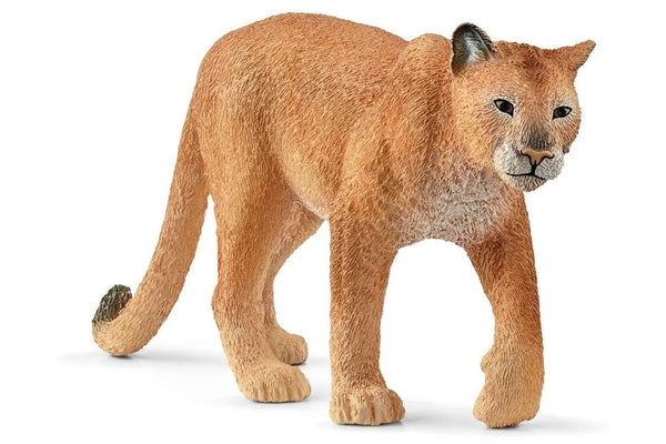 Schleich - Cougar