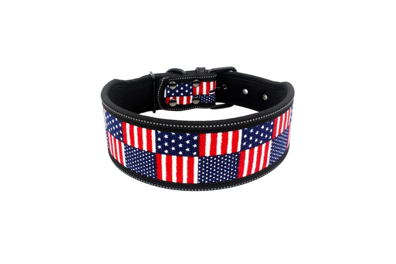 Printed Adjustable Stylish Dog Collars - S - Flags