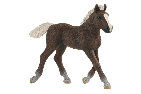 Schleich - Black Forest Foal