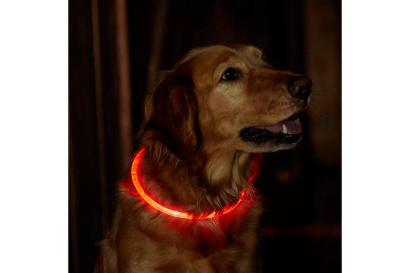 Light-Up Pet Dog Collars USB Rechargeable Pet Collar Adjustable Size Pet Collar Red