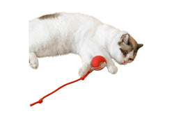 Interactive Cat Toy Ball Fast Rolling Chirping Motion Activate Cat Toy Red