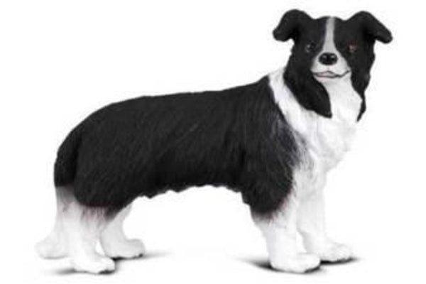 CollectA - Border Collie