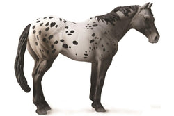 CollectA: Appaloosa Blue Roan