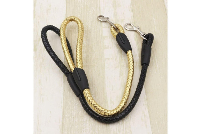 Pu Leather Weave Round Rope Dog Leash