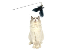 Yes4pets 2 X Pet Cat Toys Retractable Feathers Teaser Stick Interactive Play -