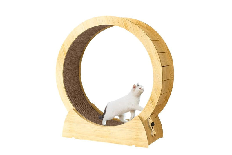 Cat Exercise Wheel