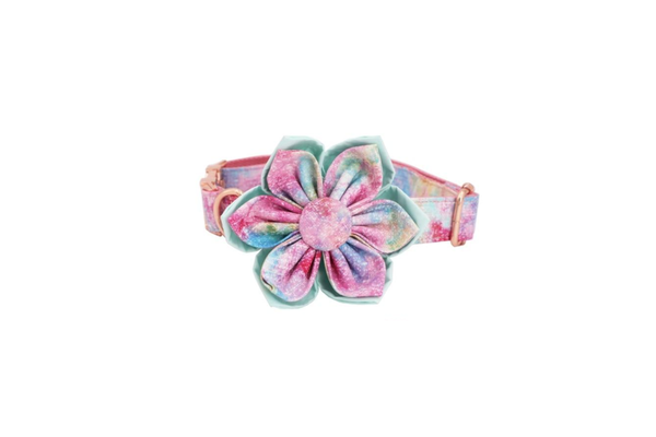 Handmade Dream Girl Dog Collar With Optional Matching Leash And Flower - S(20-30Cm Length) - Collar With Flower