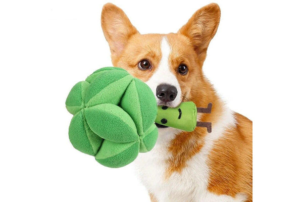 Snuffle Broccoli Dog Puzzle Toys Increase Iq Slow Dispensing Feeder Pet Cat Training Games Feeding Food Intelligence -