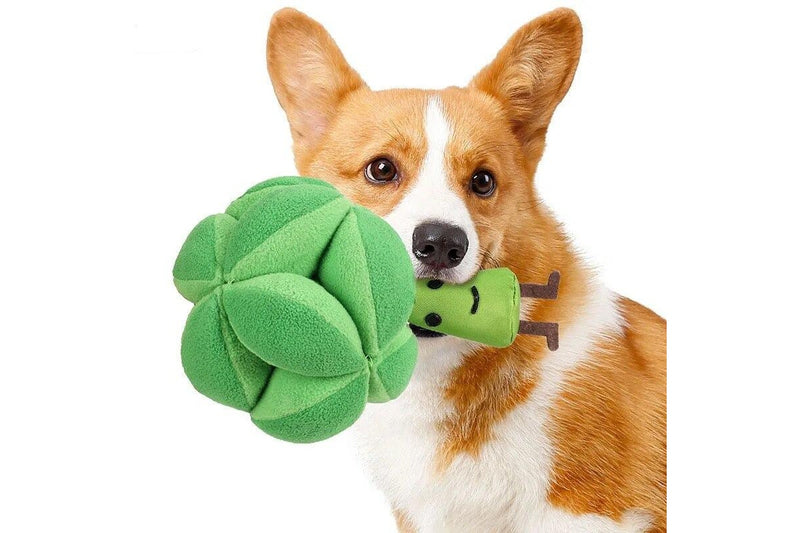 Snuffle Broccoli Dog Puzzle Toys Increase Iq Slow Dispensing Feeder Pet Cat Training Games Feeding Food Intelligence -