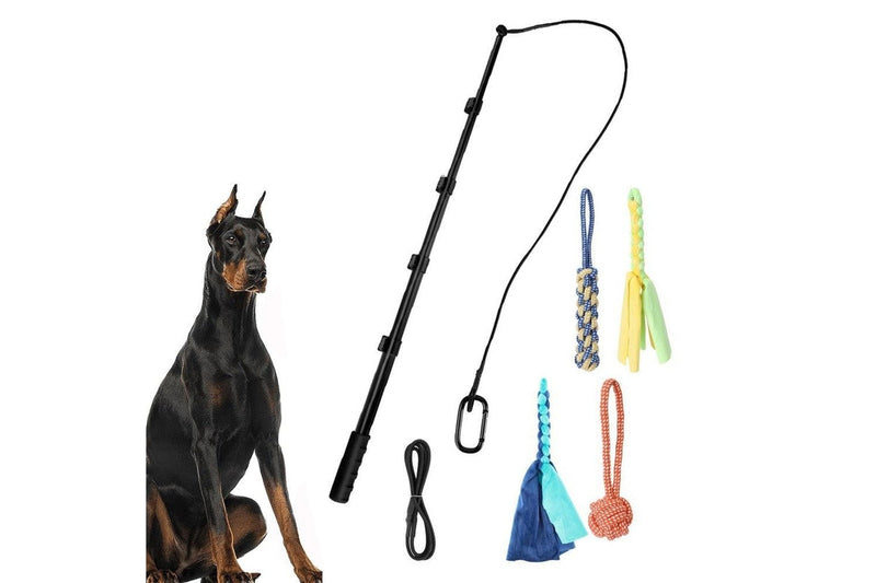 Retractable Dog Teaser Wand Pet Dog Interactive Toy Kit