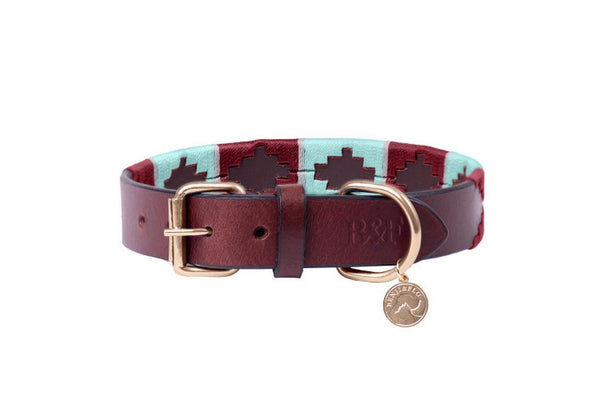 Benji & Flo Sublime Polo Leather Dog Collar (Aqua Blue/Fig) (S - Neckline: 31cm-41cm)