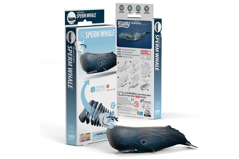 Eugy: Sperm Whale - 3D Cardboard Model