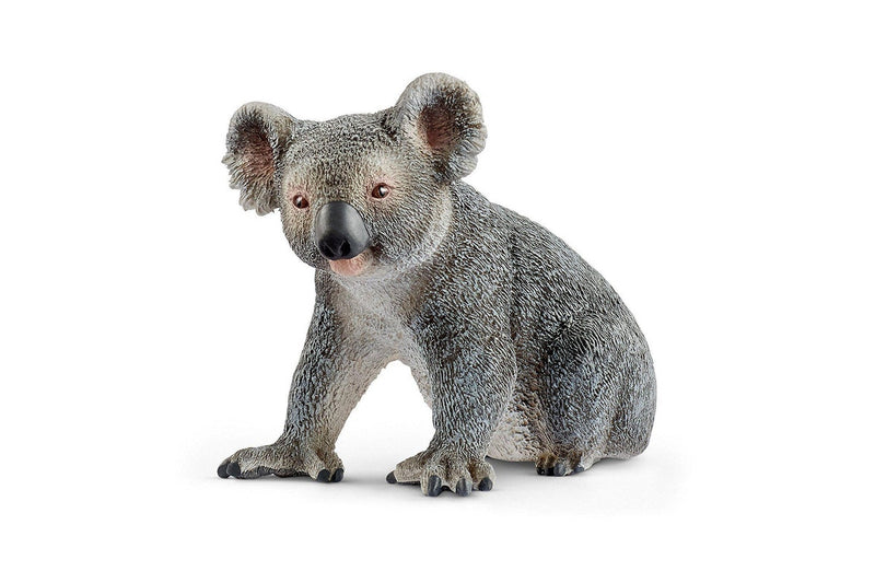 Schleich : Koala