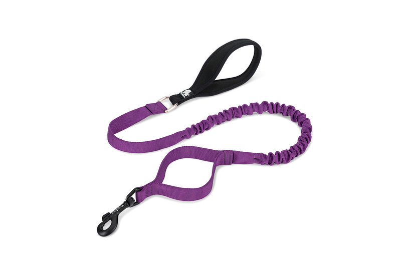 Dog Flexible Neoprene Padded Handle Leash Purple - M