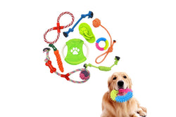 10Pcs Set Dog Chew Bite Toy Pet Braided Rope Toys Teeth Cleaning Toys Style 1