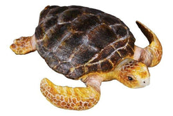 CollectA - Loggerhead Turtle