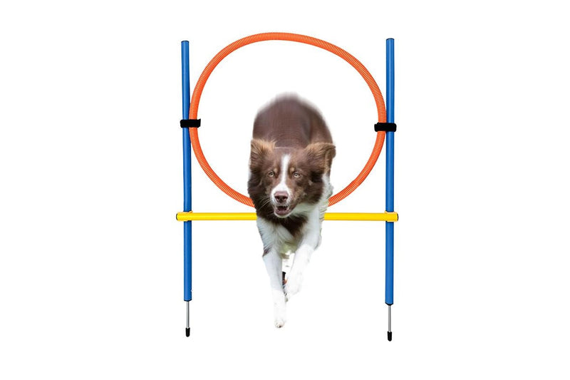 ZOOMIES Dog Agility Ring