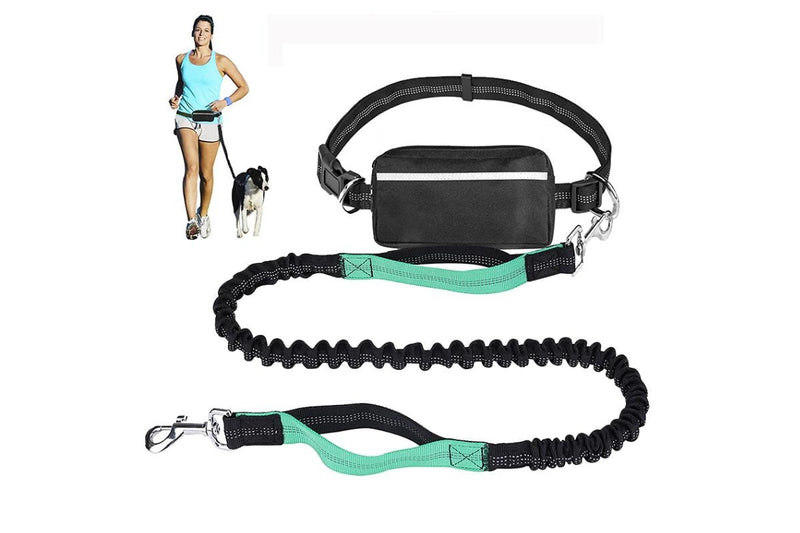 Hands-Free Dog Leash & Bag - Medium/Large Dogs (Teal)