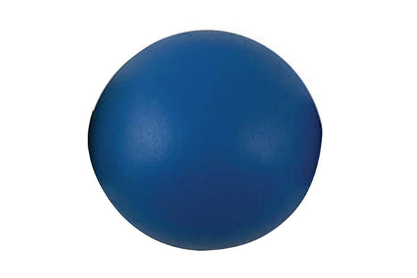 Regent 4kg Shot Puts Round Track & Field Sports Practice Training Equipment