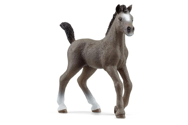 Schleich - Selle Francais Foal