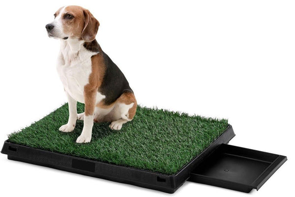 Pawever Pets Portable Potty Pad