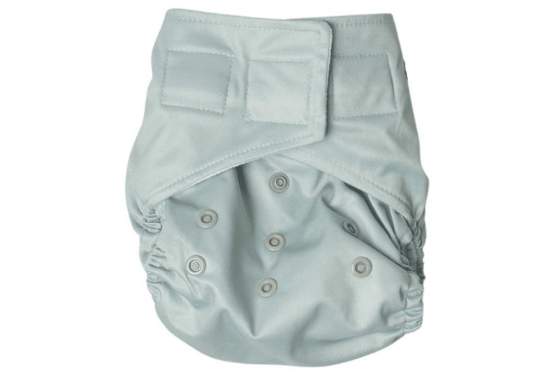 Snazzi Pants: All in One Reusable Nappy - Sage