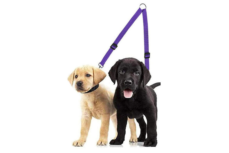 Adjustable Dual Dog Leash No Tangle Coupler Double Pet Puppy Leash Purple