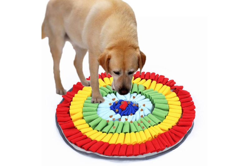 Colourful Rainbow Slow Food Feeder Washable Pet Dog Snuffle Mat - One Size - Set Of 1