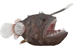 CollectA: Anglerfish