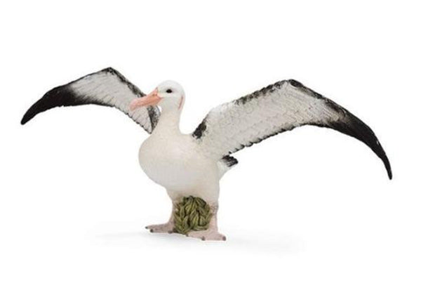 CollectA - Wandering Albatross