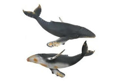 CollectA - Humpback Whale