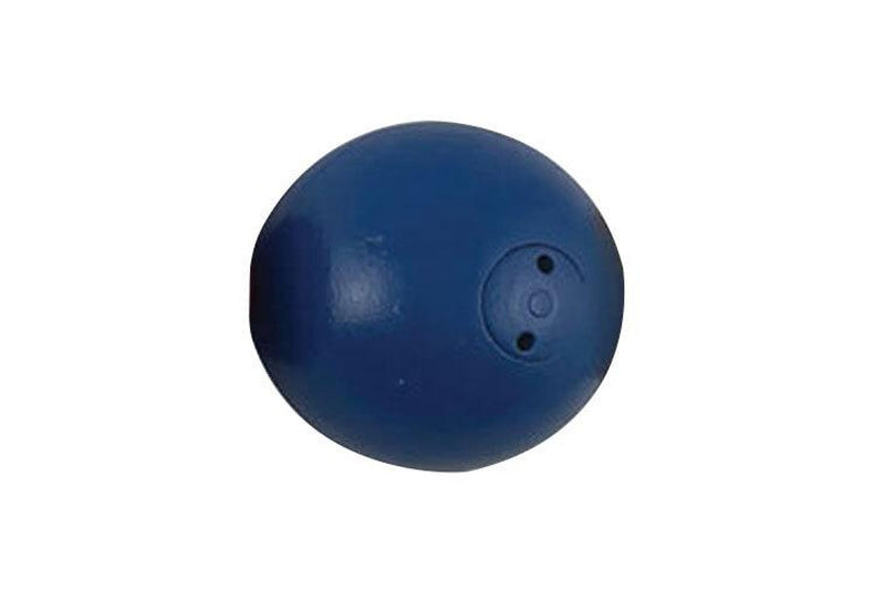 Regent 2kg Shot Puts Round Track & Field Sports Practice Training Equipment